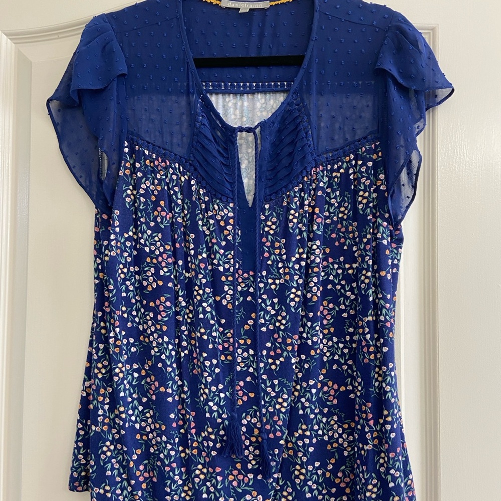Daniel Rainn Blue and Pink Ruffled Blouse